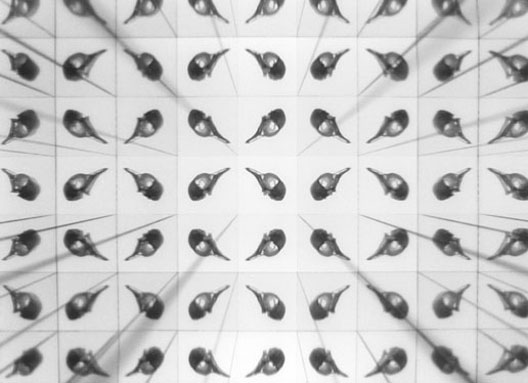Blick in Multiskop mit Taubenschdel